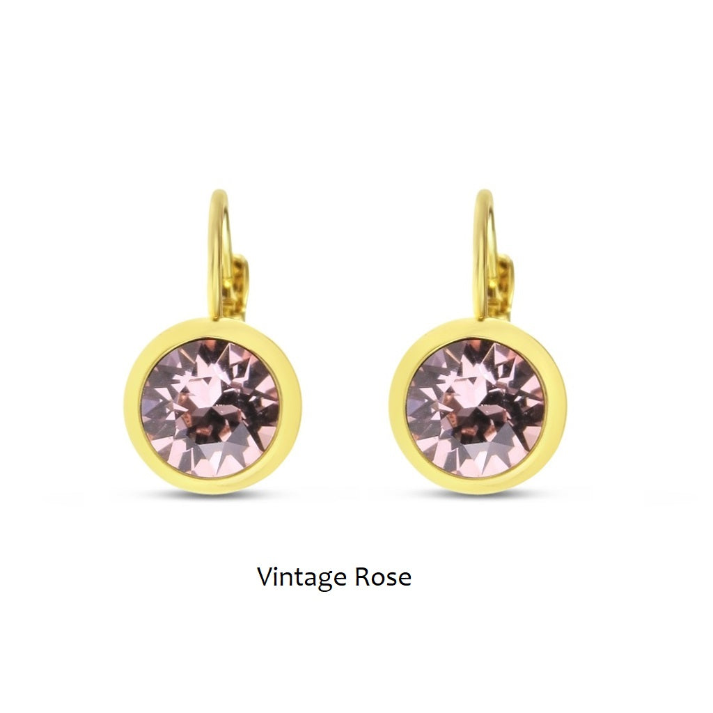 Fashion Earrings – E01381R